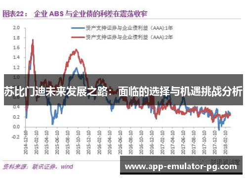苏比门迪未来发展之路:面临的选择与机遇挑战分析 苏比门迪未来发展之路:面临的选择与机遇挑战分析