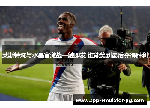 莱斯特城与水晶宫激战一触即发 谁能笑到最后夺得胜利 莱斯特城与水晶宫激战一触即发 谁能笑到最后夺得胜利