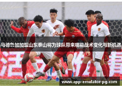 马德鲁加加盟山东泰山将为球队带来哪些战术变化与新机遇 马德鲁加加盟山东泰山将为球队带来哪些战术变化与新机遇