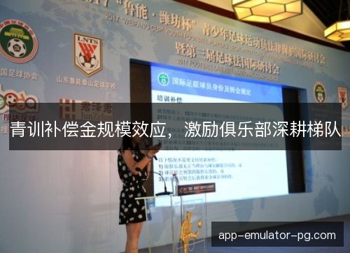 青训补偿金规模效应，激励俱乐部深耕梯队