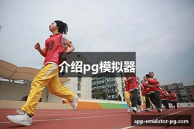 介绍pg模拟器